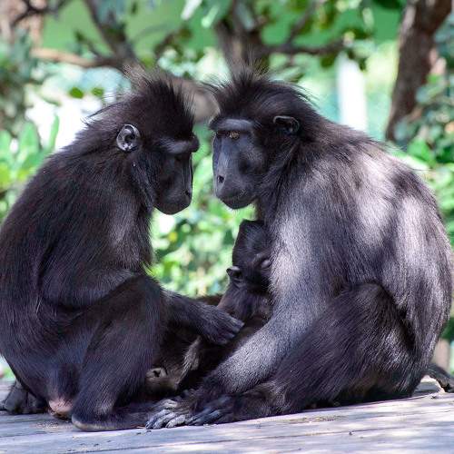Photo #9521785