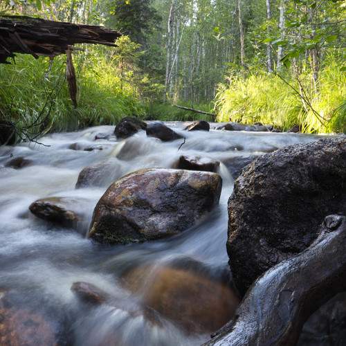 Photo #9522320