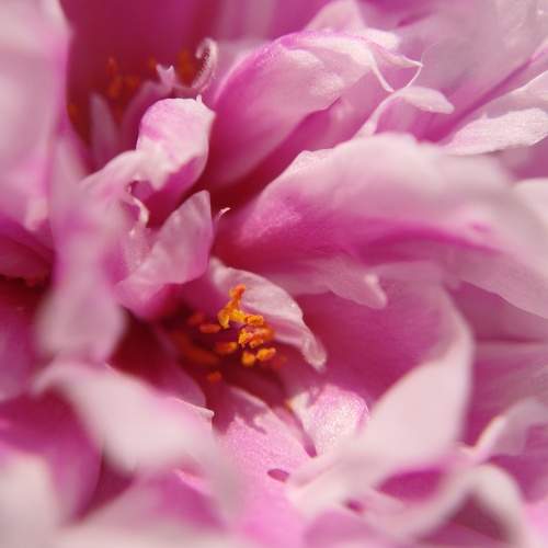 Photo #9522349
