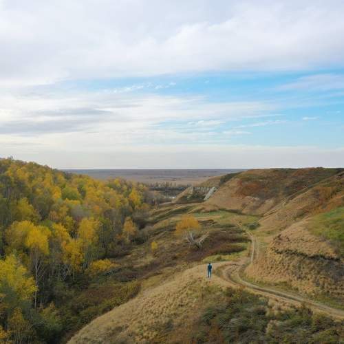 Photo #9522509