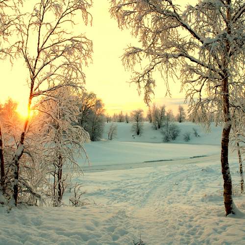 Photo #9522518