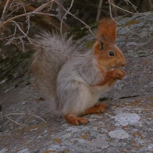 Photo #9522665