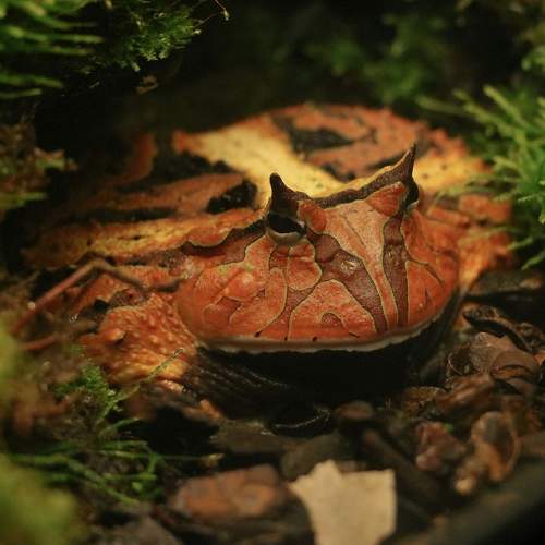 Photo #9522668