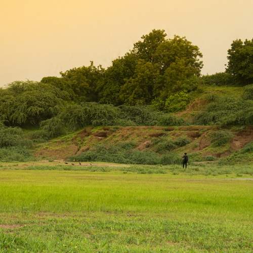 Photo #9522911