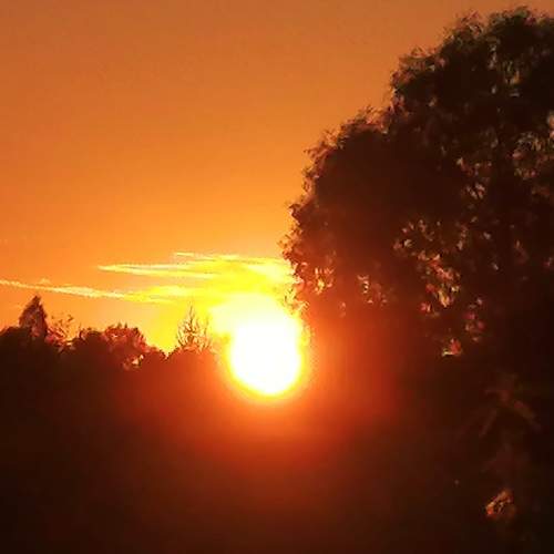Photo #9523174