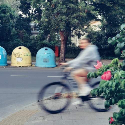 Photo #9523334