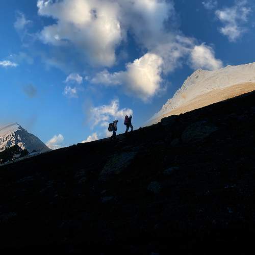 Photo #9523816
