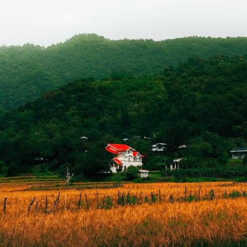 Photo #9523821