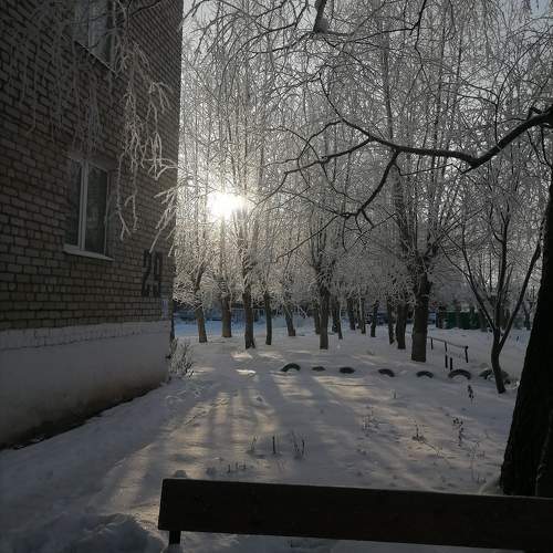 Зимнее солнце ❄️