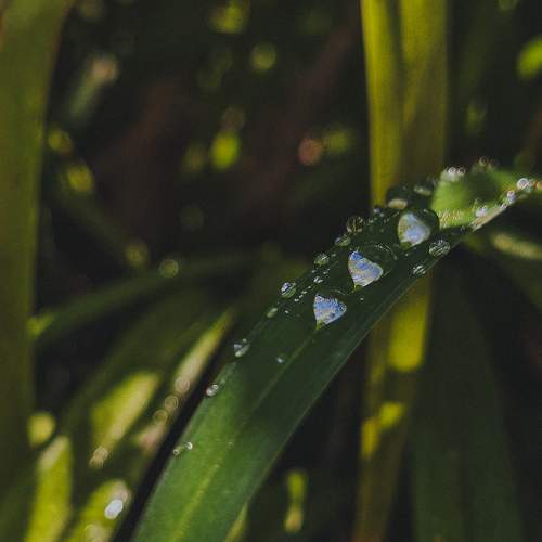 Photo #9524334