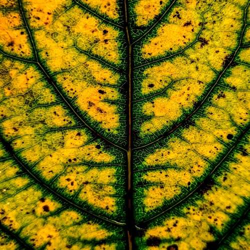 Photo #9524499