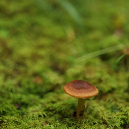 Photo #9524981