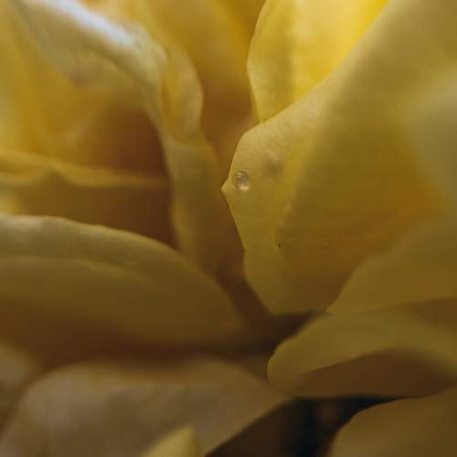 Photo #9525260