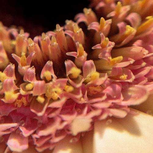 Photo #9525261