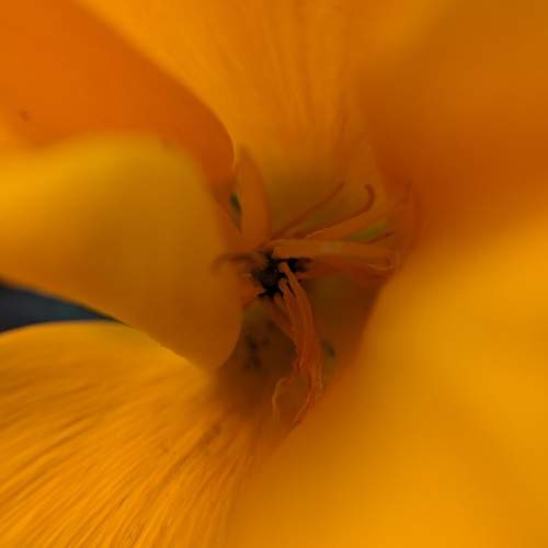 Photo #9525268