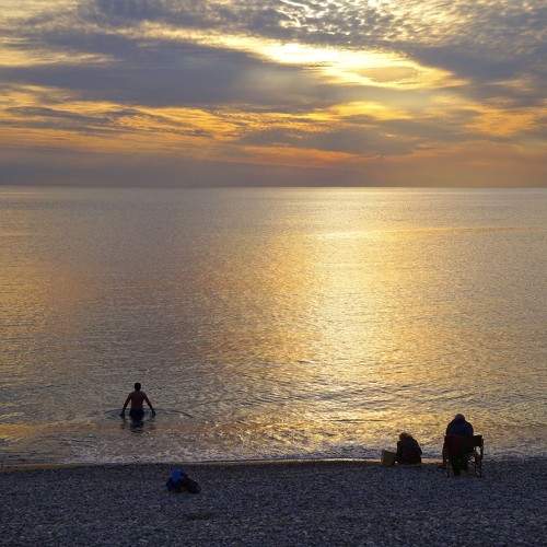 Photo #9525469