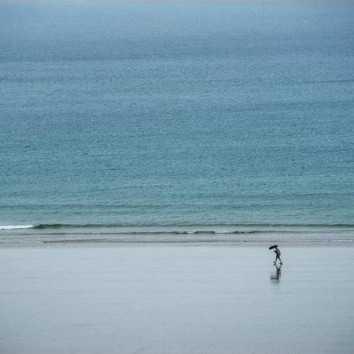 The Man and the Sea.