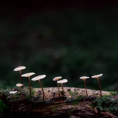 Photo #9526891