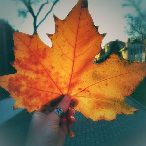 Photo #9526911