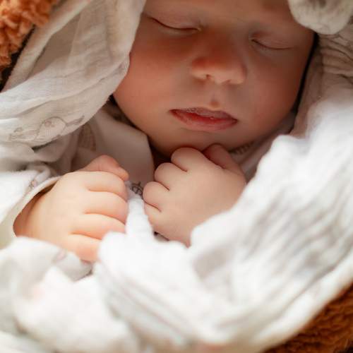 Photo #9528057