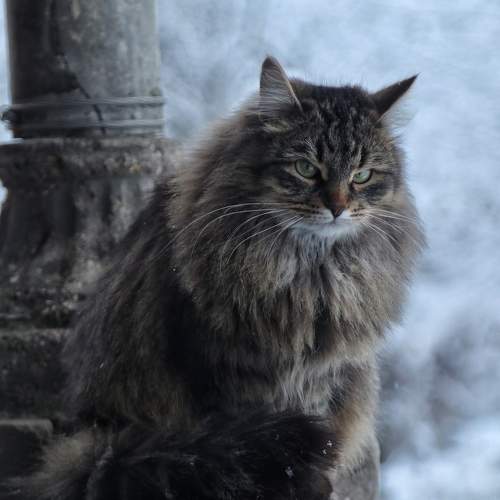 Photo #9528247