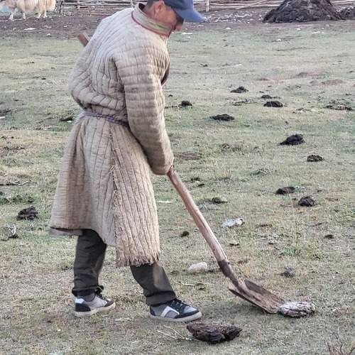 Photo #9528582
