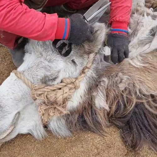 Photo #9528585