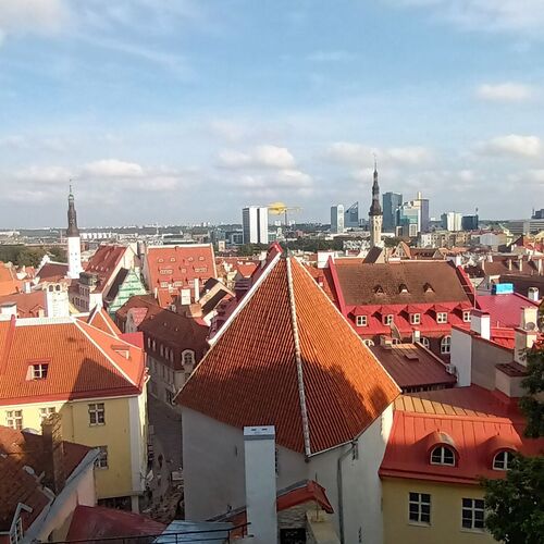 Photo #9528651