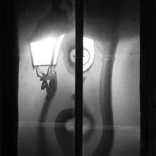 The Lies of the Night