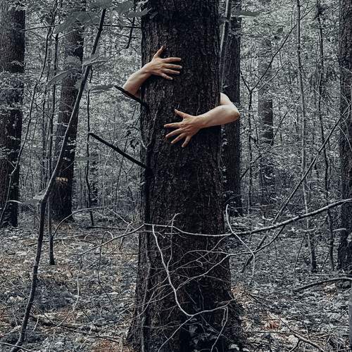 Photo #9529056
