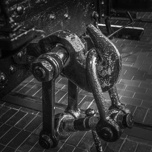 Photo #9529432