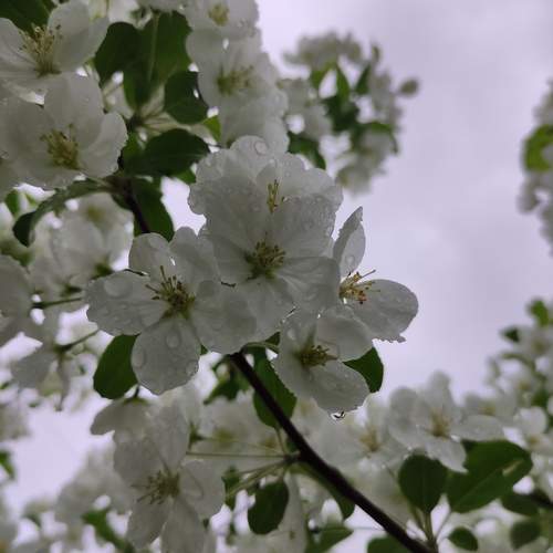 Photo #9529766