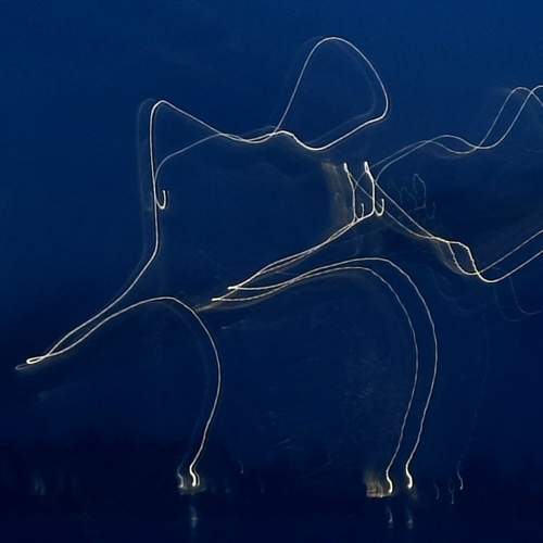 Photo #9529805