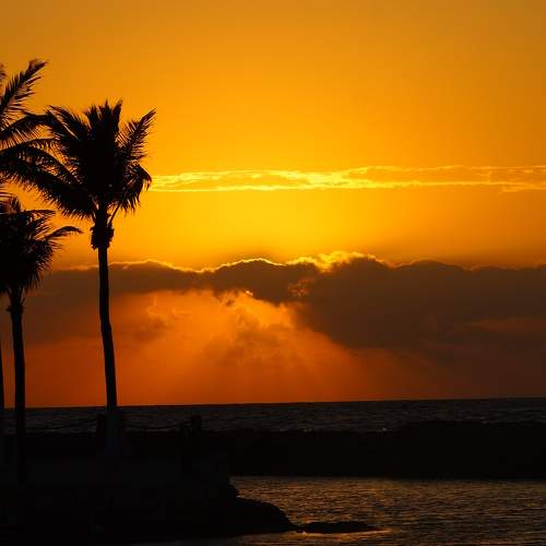 Photo #9529812