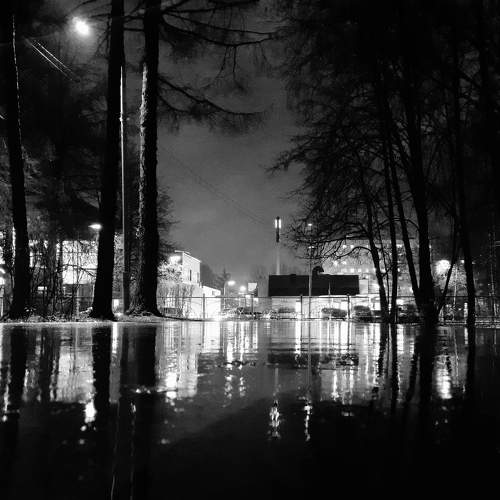 Photo #9529855