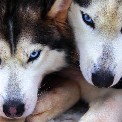 Photo #9529856