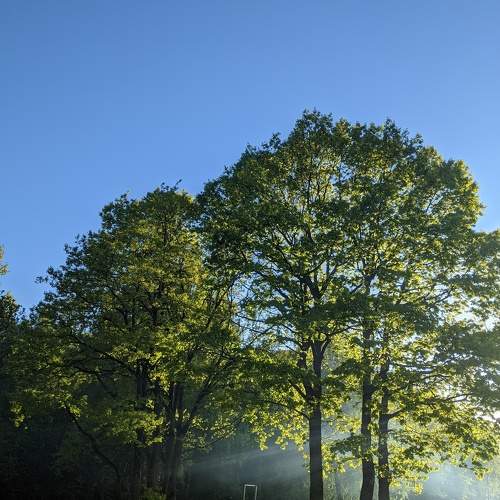 Photo #9530074
