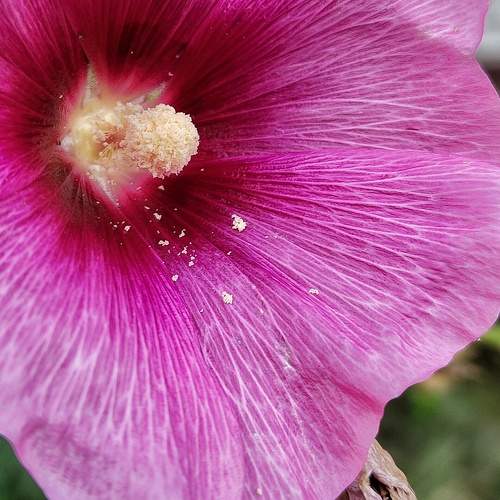 Photo #9530273