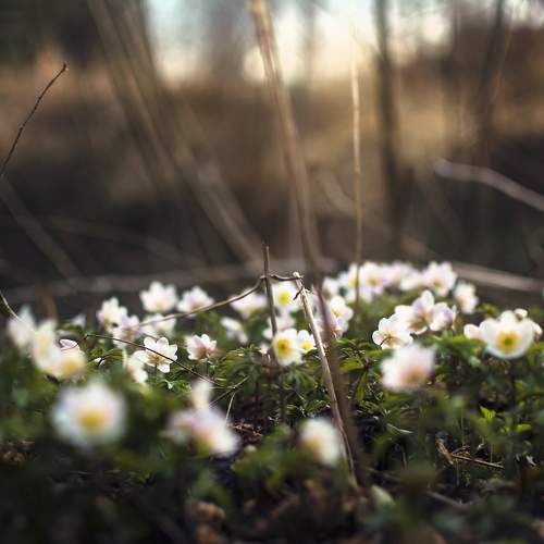 Photo #9530507