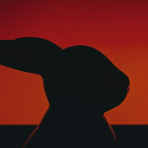 Photo #9530605