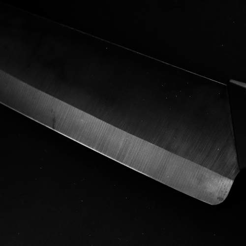 Photo #9530664