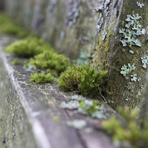 Photo #9530766