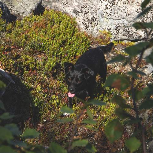 Photo #9530787