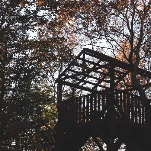 Photo #9530789
