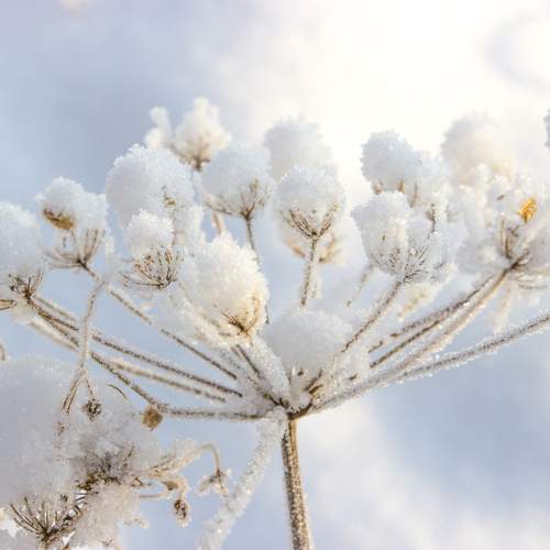 Photo #9530802