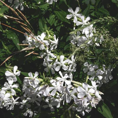 Photo #9530804