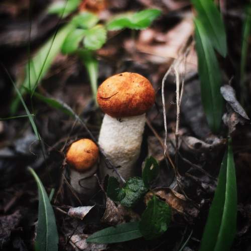 Photo #9531383