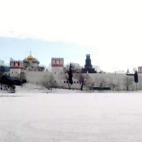 Photo #9531647