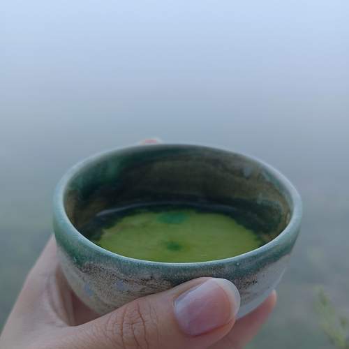 Photo #9531901