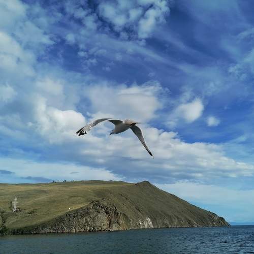 Photo #9531956